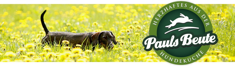pauls-beute-banner-logo-paul