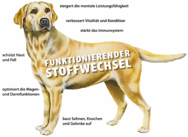 Grau Hokamix Futterergänzung unterstützt den Stoffwechsel bei Hunden