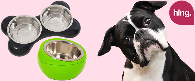 Futternapf von Hing für Hunde bei Futterfreund kaufen