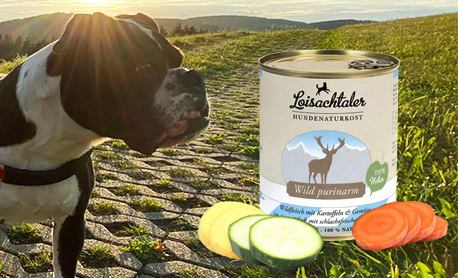 Purinarme Ernährung beim Hund